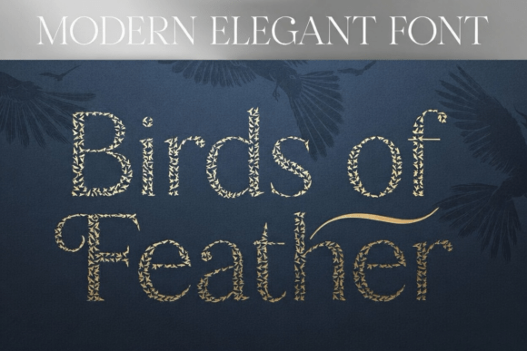 Birds of Feather: The Modern Display Font for Campaigns