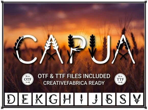 Capua Typeface Review for Brand Designers
