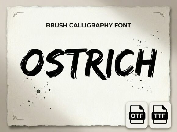 Ostrich: The Ultimate Decorative Display Font for Marketers